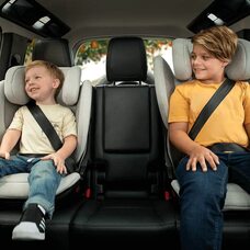 Автокресло детское Nuna AACE LX FOREST