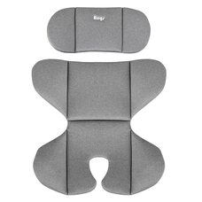 Детское автокресло 0-36 кг Pituso Roys + Dark grey 