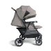 Коляска для двойни Joie Estrella Maple 