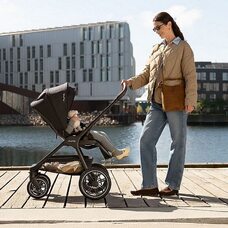 Коляска 2в1 Nuna TRIV LX ALL-SEASON SET CEDAR