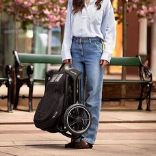 Коляска 2в1 Nuna TRIV LX ALL-SEASON SET CEDAR