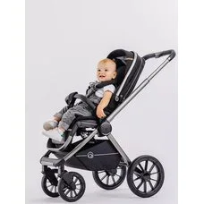 Коляска 2в1 FALCON RANT RA097 Black