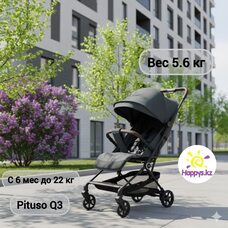 Коляска прогулочная PITUSO Q3 Oliva Grigio