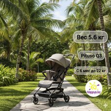 Коляска прогулочная PITUSO Q3 Truffle