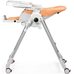Стульчик Peg-Perego Prima Pappa Follow Me Peach 