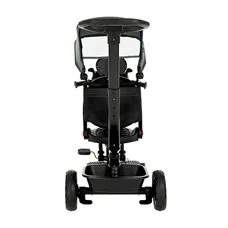 Трехколесный велосипед Elite Green Pituso